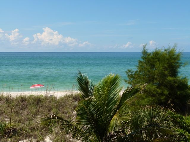 Little Gasparilla Island Rentals Pet Friendly